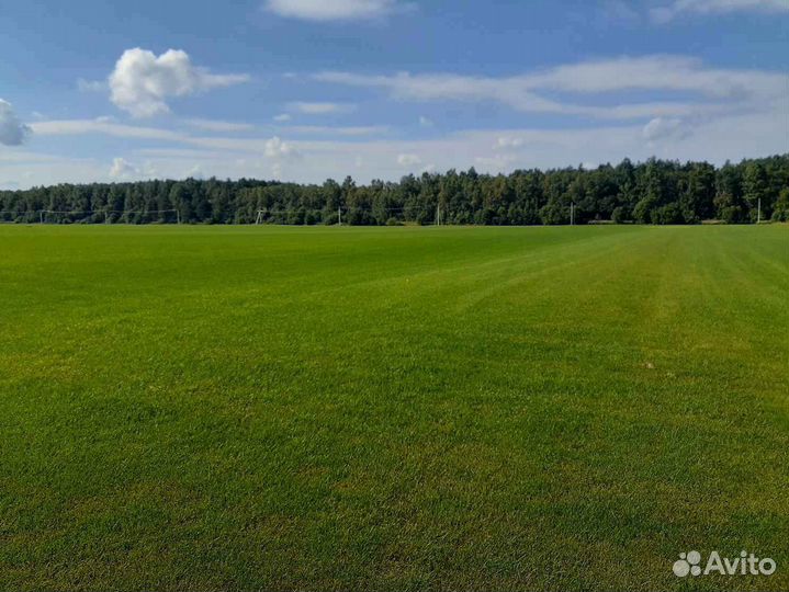 Рулонный газон /продажа/укладка