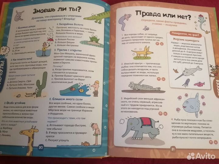 Детская познавательно книга