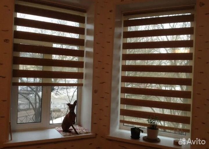 Рулонные шторы День-Ночь Зебра