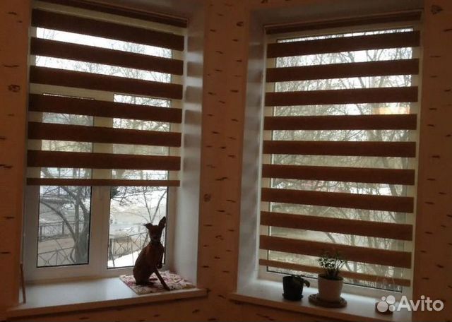 Рулонные шторы День-Ночь Зебра