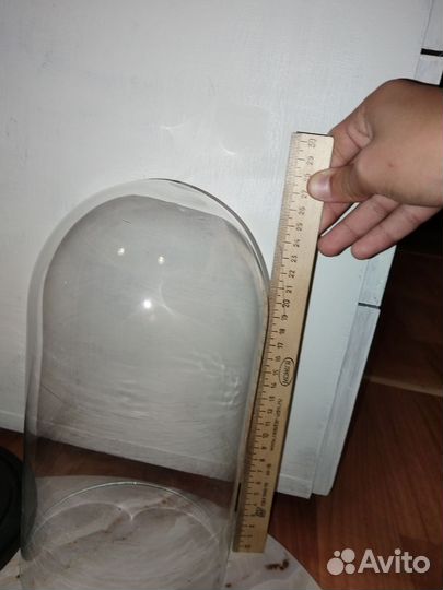 Стеклянная колба