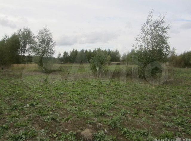 Фото земельных участков без построек