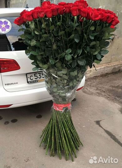 Розы гиганты 140 150 160 170 180 200