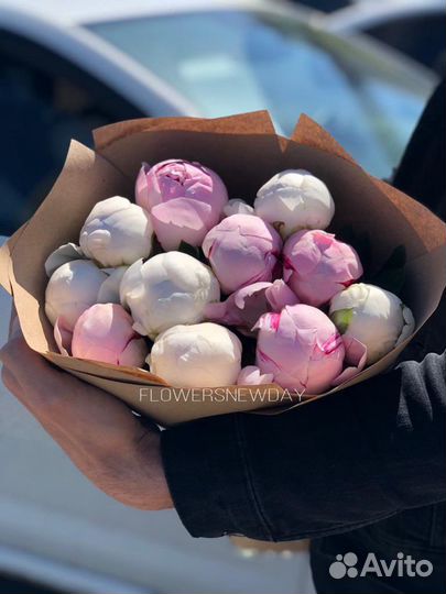 Пионы Букет пионов 25 11 19 9