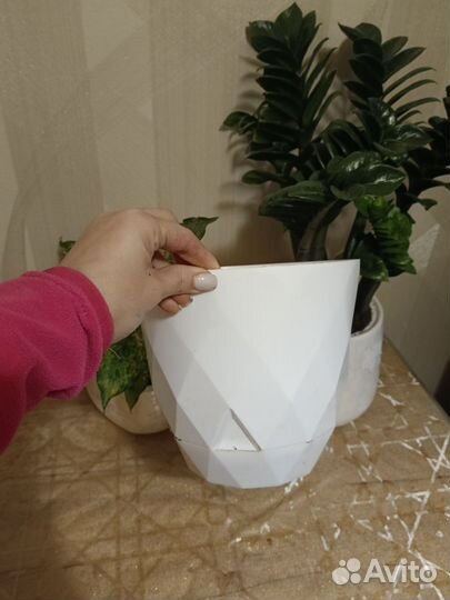 Кашпо горшок для цветов