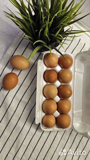 Домашние полуфабрикаты