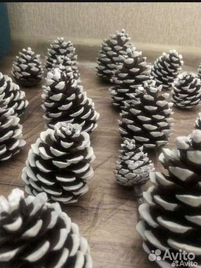 Набор шишек