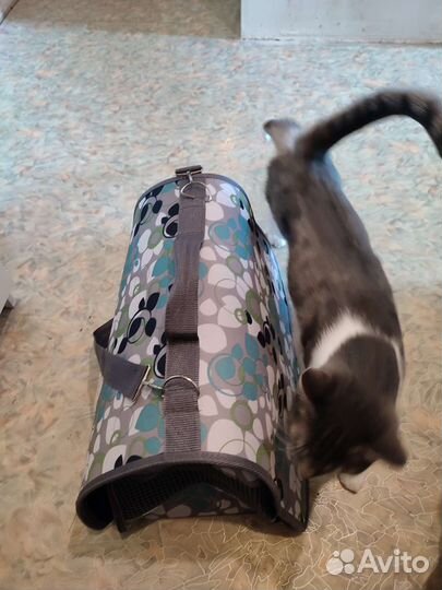 Переноска для животных бу