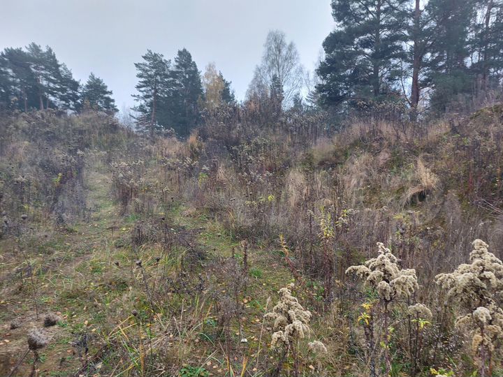 Участок 16,32 га (промназначения)