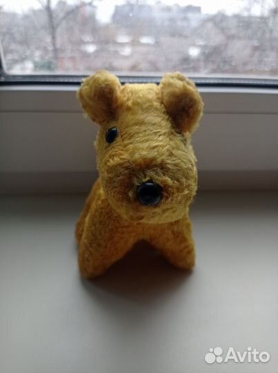 Собачка СССР