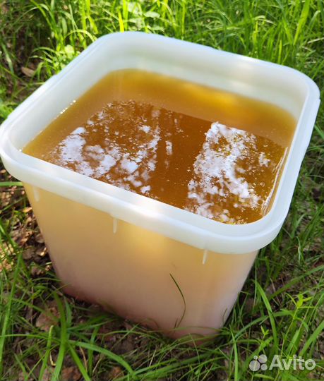 Опт мёд натуральный алтайский min 16kg