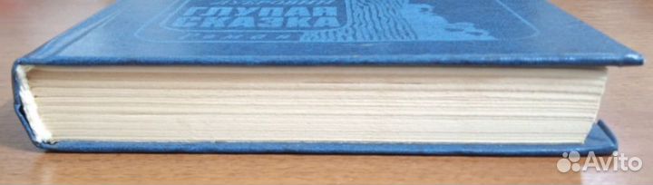 Е. Дубровин, роман 