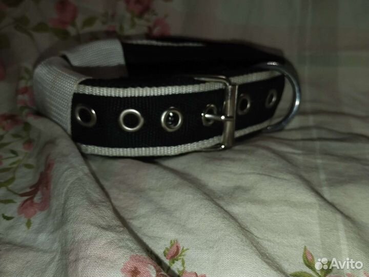 Амуниция для собак, фурнитура для ошейников