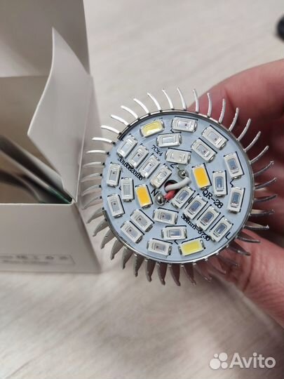 Фитолампа для рассады