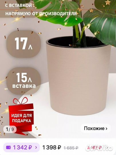 Замиокулькас комнатный цветок