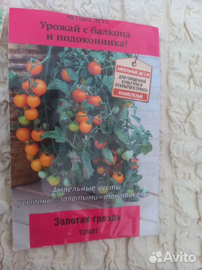 Рассада томаты и перцы
