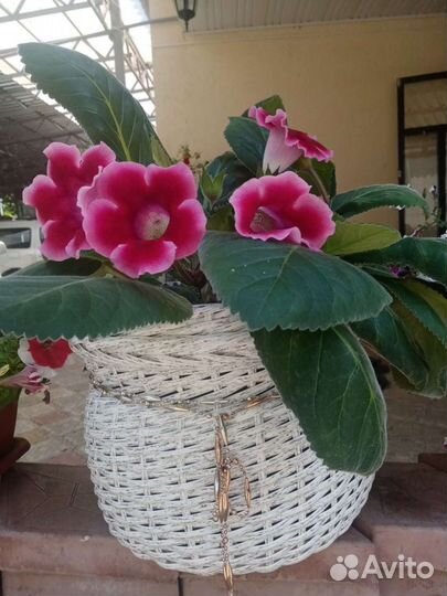 Кашпо из ротанга 