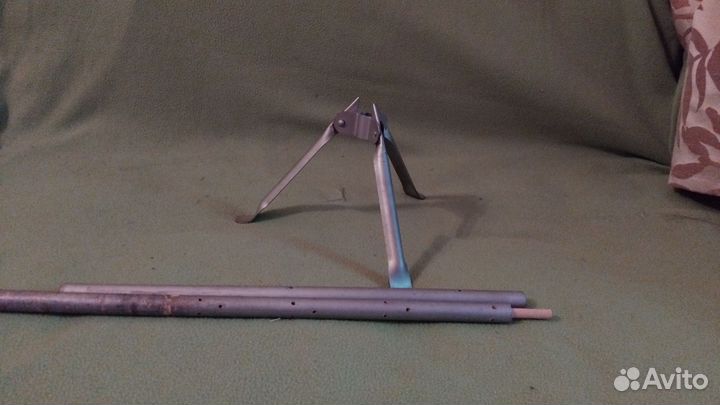 Ель серебристая СССР