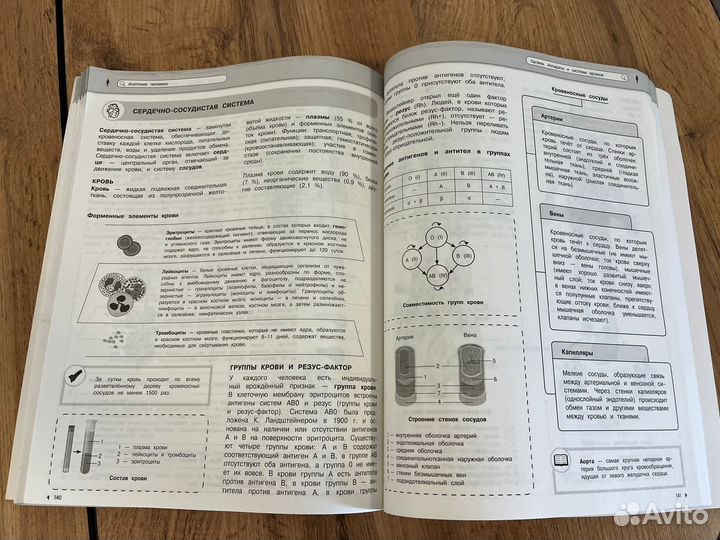 Наглядный школьный курс биология