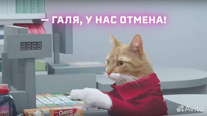 Работа кассиром / продавец-кассир /свежая вакансия