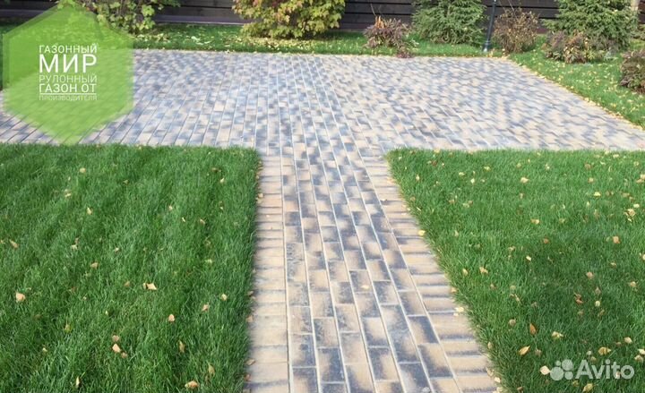 Рулонный газон