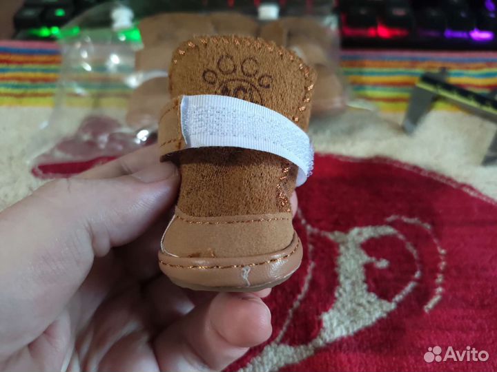 Обувь для собачки