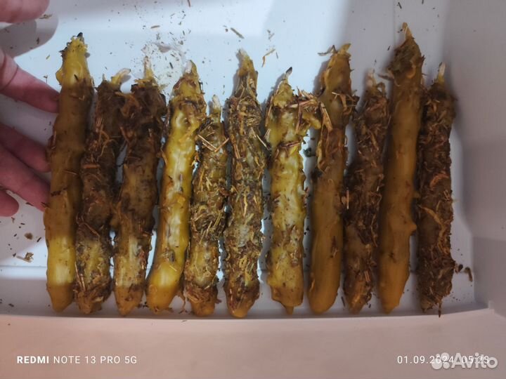 Диагностика на магическую грязь и способности