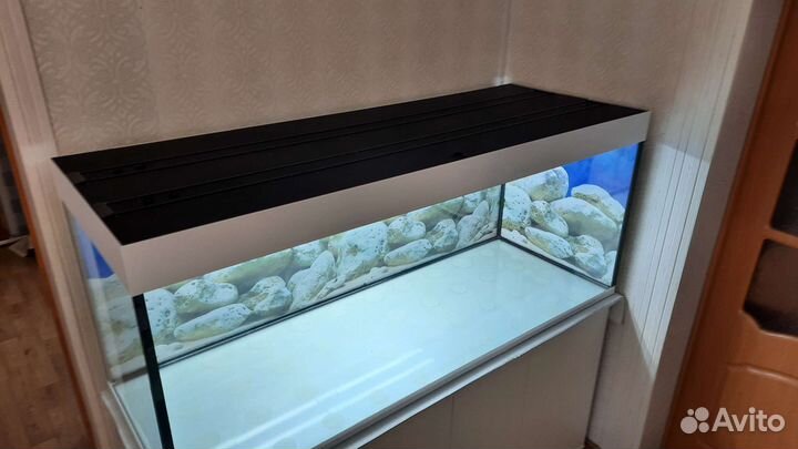 Аквариумы до 200 см