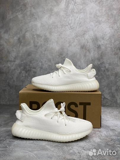 Adidas Yeezy Boost 350
