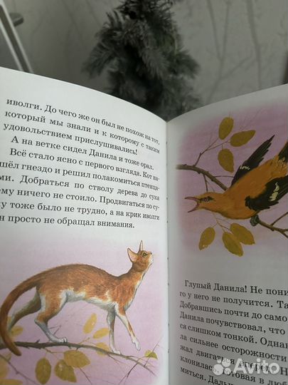Книга лесные загадки