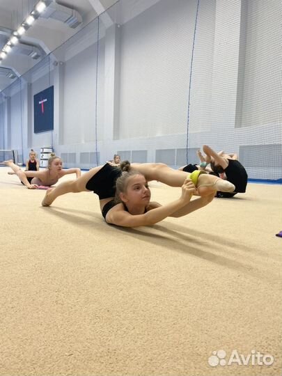 Художественная гимнастика