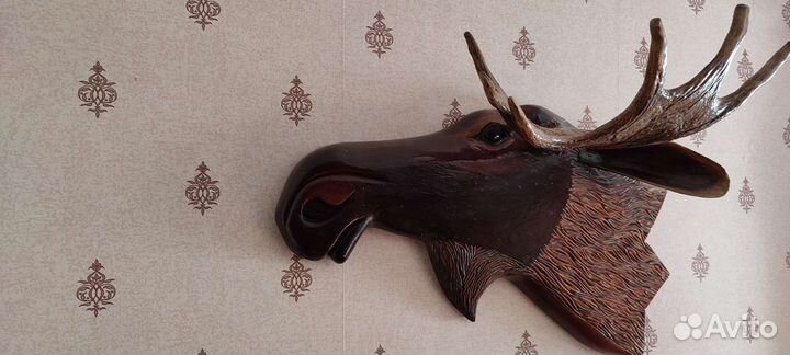 Продам рога лося