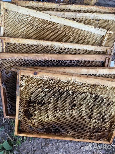 Рамки с вощиной