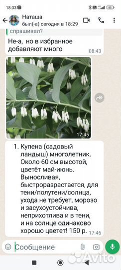 Купена (ландыш садовый)