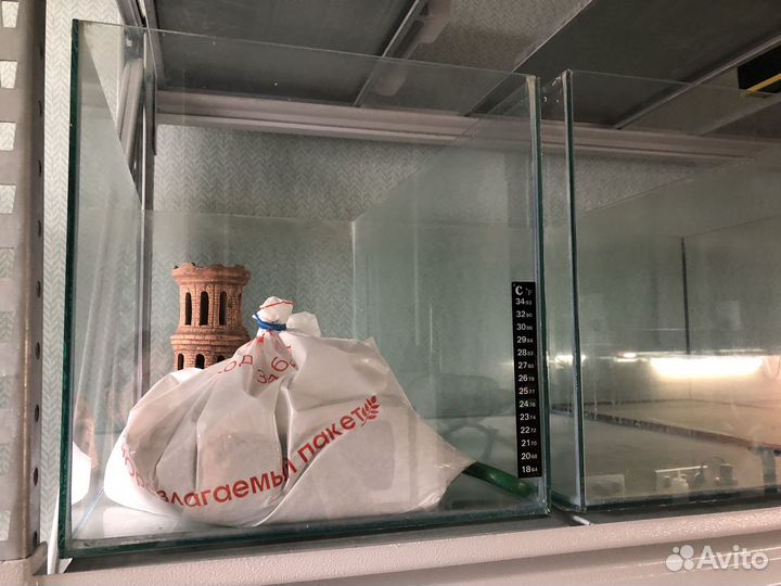 Аквариумы, растения, пропант, аэрация