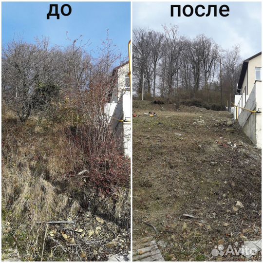 Покос травы, Спил деревьев