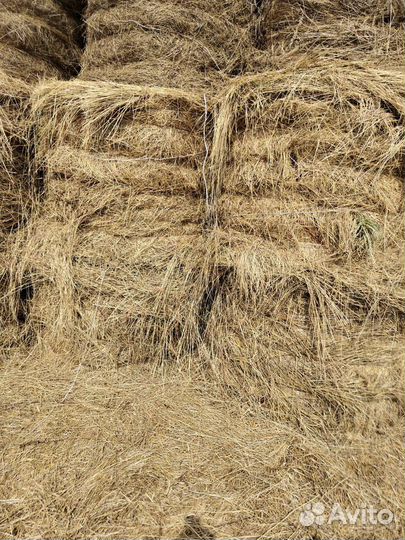 Сено в рулонах (350 кг)