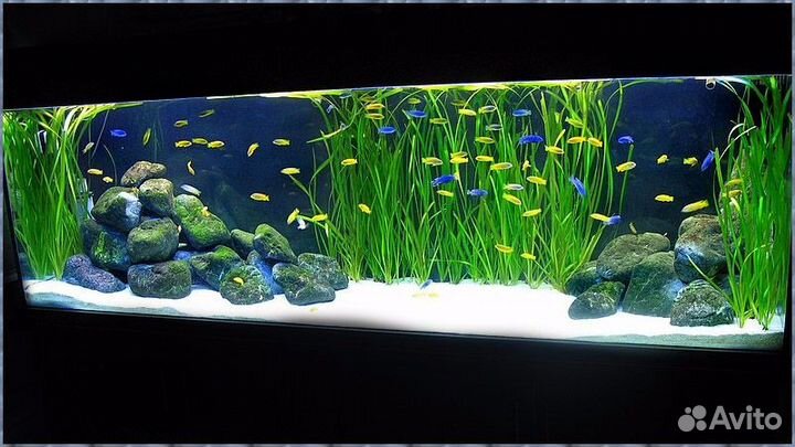 Обслуживание аквариумов