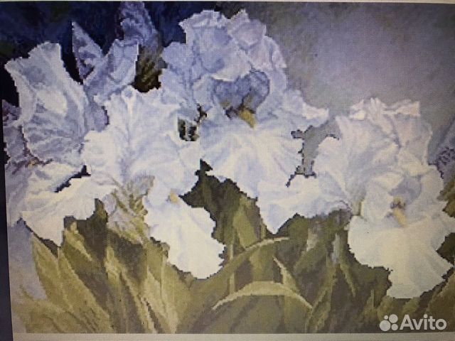 Dimensions, Краса и творчество, Золотое руно