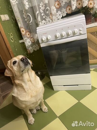 Газовая плита