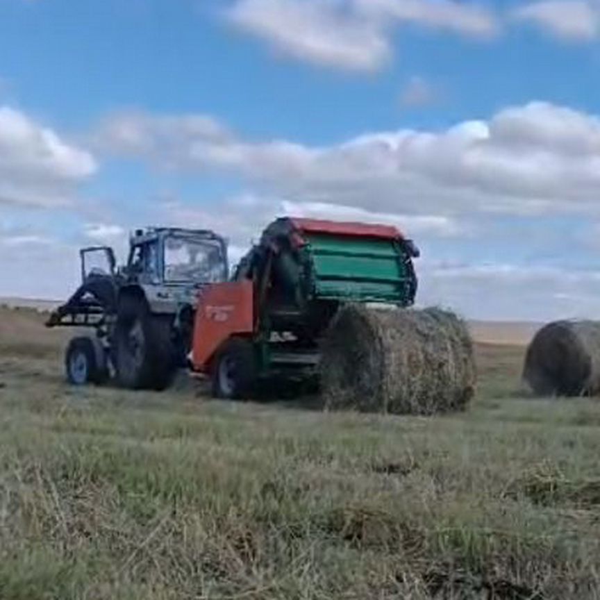 Продам сено,рженец, костер