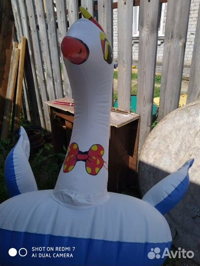 Надувной лебедь