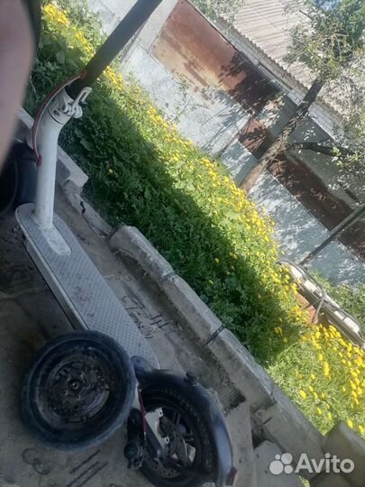 Самокат ксиоами м365