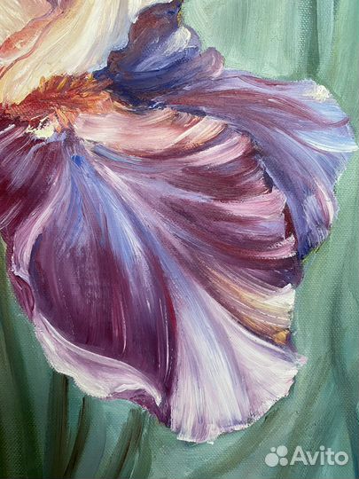 Картина Ирис