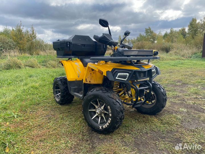 Каадроцикл wild track x pro 200