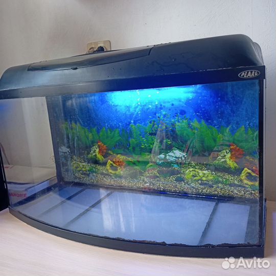 Аквариум