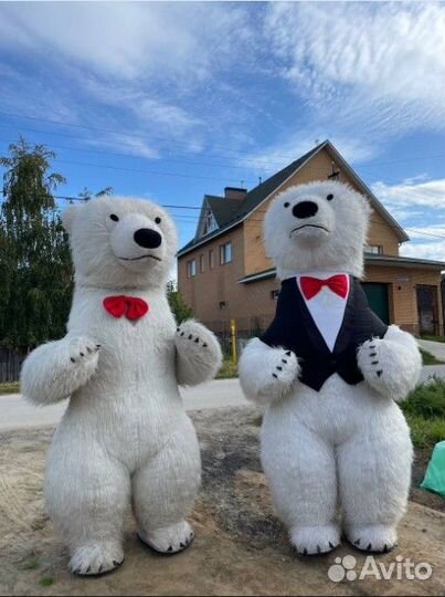 Дед Мороз и снегурочка / шоу 