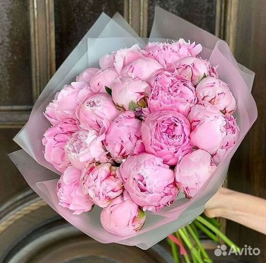 Пионы Букет пионов