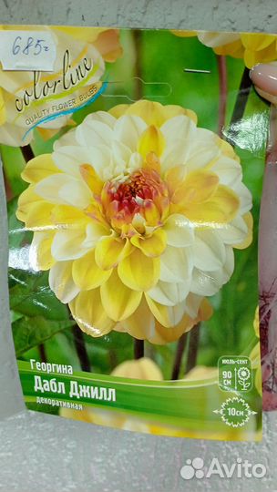 Продам сортовые клубневые георгины