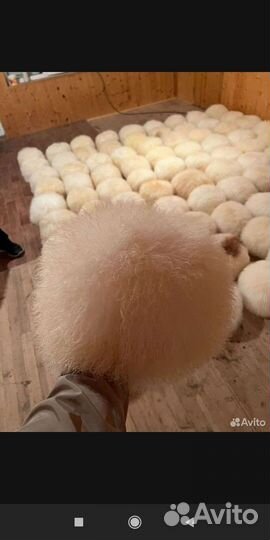 Папаха как у Хабиба